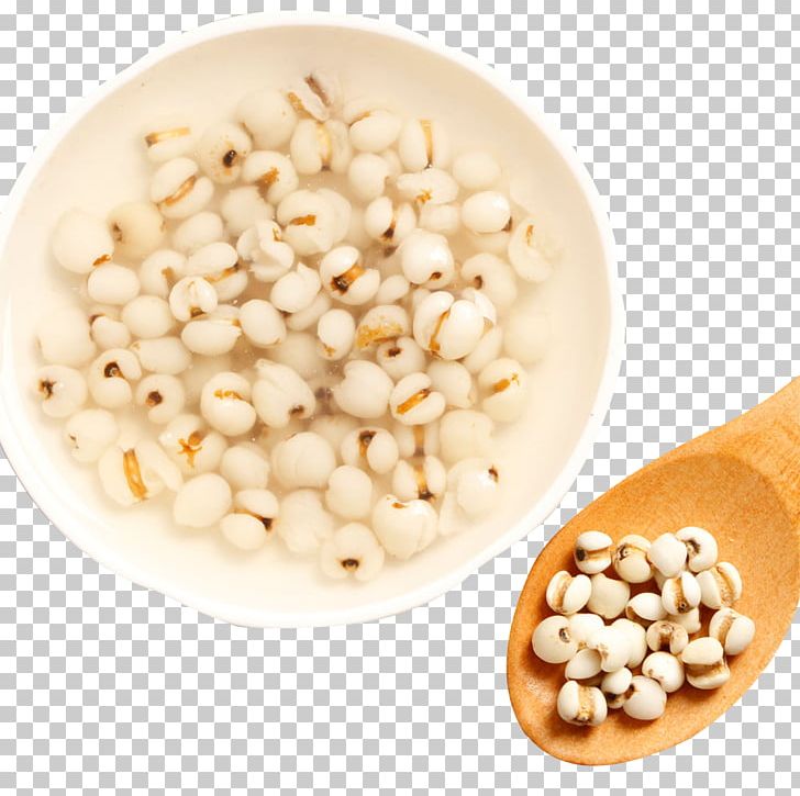 Barley Popcorn Xiaomi Adlay PNG, Clipart, Adlay, Banh Mi, Barley, Caryopsis, Cereal Free PNG Download