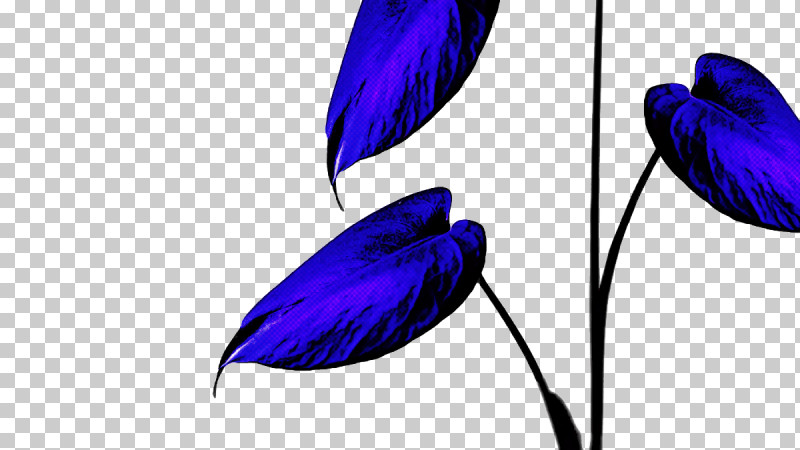Feather PNG, Clipart, Cobalt, Cobalt Blue, Feather, Flower Free PNG Download