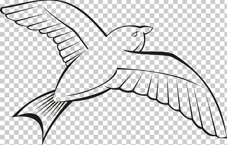 Bird Flight Beak PNG, Clipart, Animal, Animals, Artwork, Beak, Bird Free PNG Download