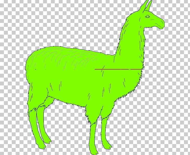 Llama Alpaca PNG, Clipart, Animal Figure, Blog, Camel Like Mammal, Carnivoran, Dog Like Mammal Free PNG Download