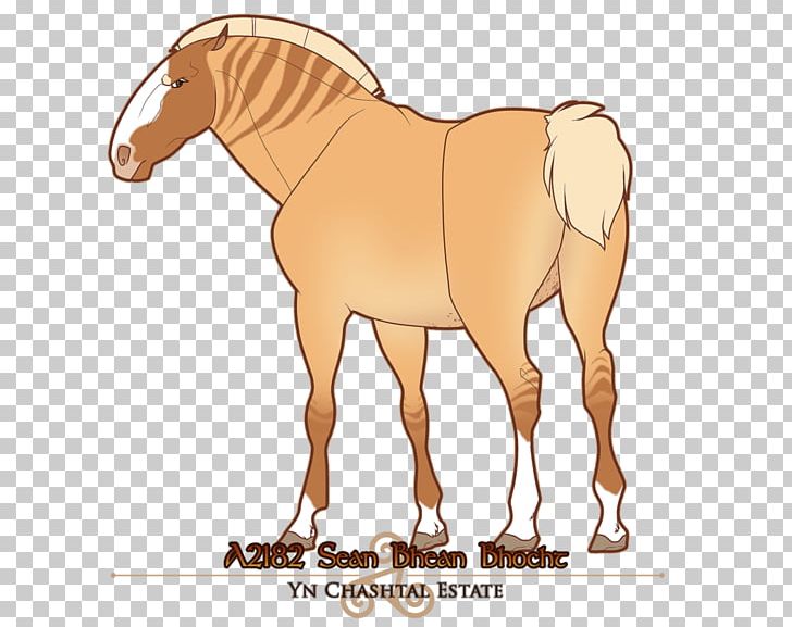 Mustang Foal Stallion Colt Halter PNG, Clipart, Animal Figure, Bridle, Colt, Foal, Halter Free PNG Download