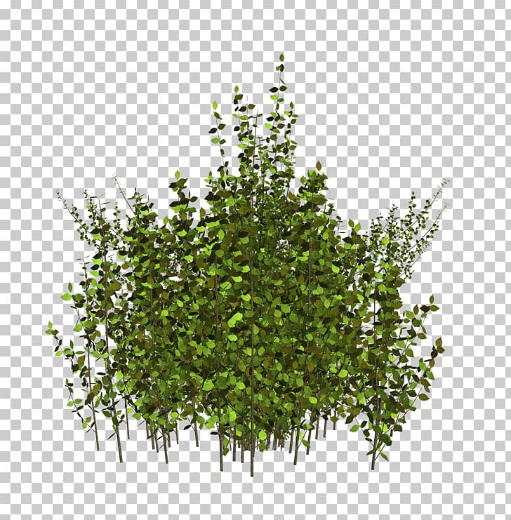 Yandex U042fu043du0434u0435u043au0441.u0424u043eu0442u043au0438 Wall Decal PNG, Clipart, Advertising, Artificial Grass, Branch, Cartoon Grass, Creative Grass Free PNG Download
