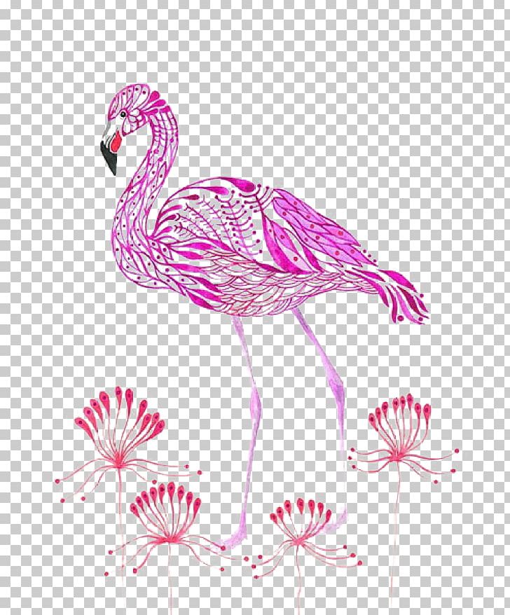 Flamingos Olya PNG, Clipart, Animal, Animals, Beak, Color, Crane Like Bird Free PNG Download