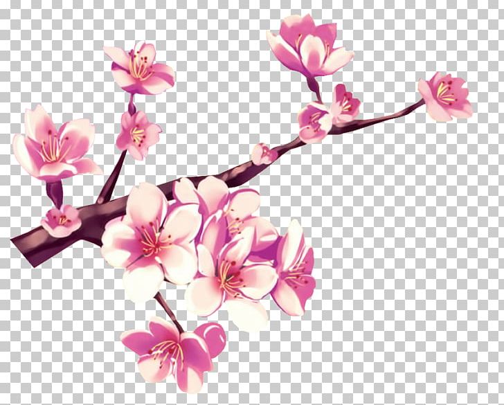 Cherry Blossom Flower Pink Gouache PNG, Clipart, Blossom, Branch, Cherry Blossom, Color, Computer Software Free PNG Download