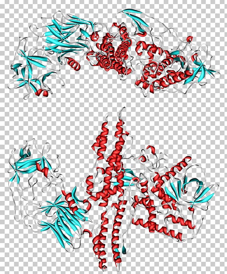 Clostridium Botulinum Botulinum Toxin Botulism Neurotoxin PNG, Clipart, Area, Art, Artwork, Bacteria, Botulinum Toxin Free PNG Download