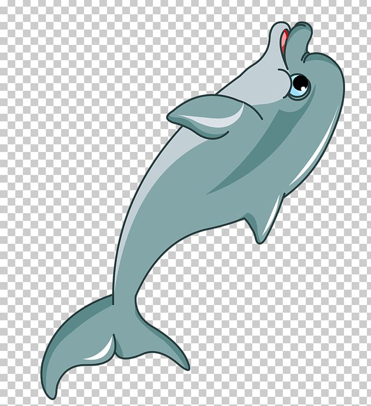Dolphin Cartoon PNG, Clipart, Animals, Art, Cute Dolphin, Dolphine, Dolphins Free PNG Download