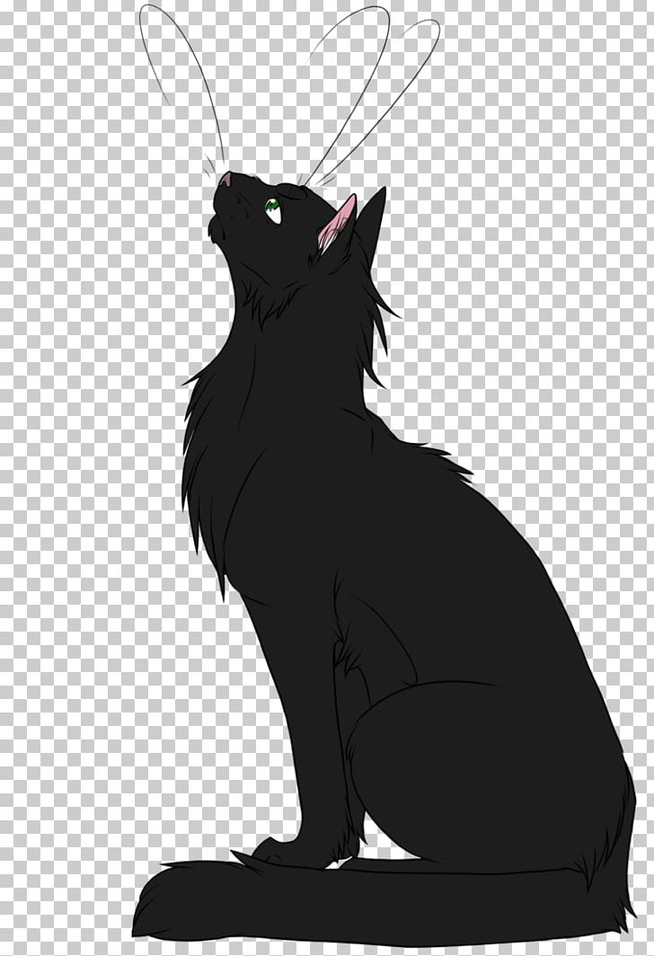 Cat Kitten Whiskers Warriors Hollyleaf PNG, Clipart, Animals, Ashfur, Black, Black And White, Carnivoran Free PNG Download