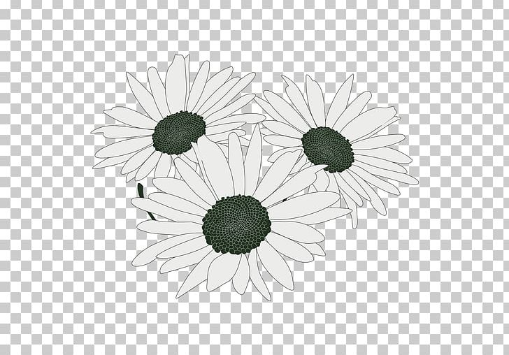 Common Daisy Flower Bouquet Floral Design Cut Flowers PNG, Clipart, Bouquet, Chrysanthemum, Chrysanths, Common Daisy, Common Sunflower Free PNG Download
