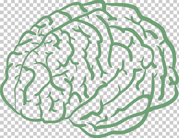 Human Brain Drawing Cartoon Agy PNG, Clipart, Area, Balloon Cartoon, Boy Cartoon, Brain, Brain Vector Free PNG Download