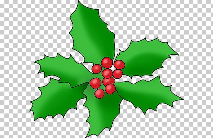 Christmas Ornament Drawing PNG, Clipart, Aquifoliaceae, Aquifoliales, Christmas, Christmas Ornament, Com Free PNG Download