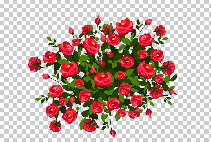 Rose Shrub Drawing PNG, Clipart, Annual Plant, Cut Flowers, Drawing, Floral Design, Floristry Free PNG Download