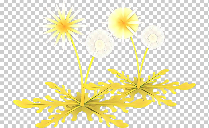 Yellow Flower Plant Petal Wildflower PNG, Clipart, Flower, Petal, Plant, Wildflower, Yellow Free PNG Download