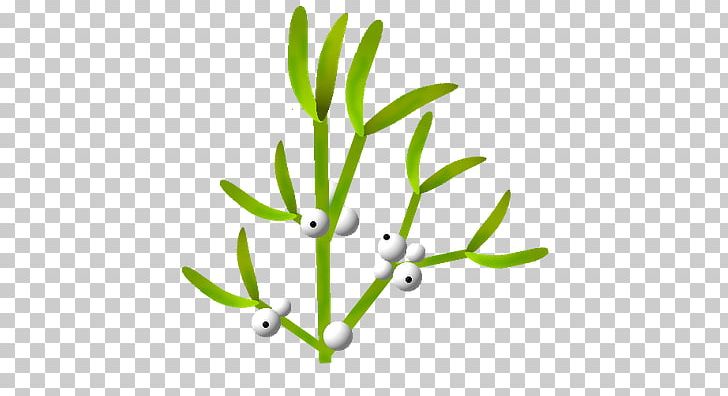 Branch Vegetation Plant Stem Tree PNG, Clipart, 12 December, Agac, Agac Resimleri, Bitkiler, Branch Free PNG Download