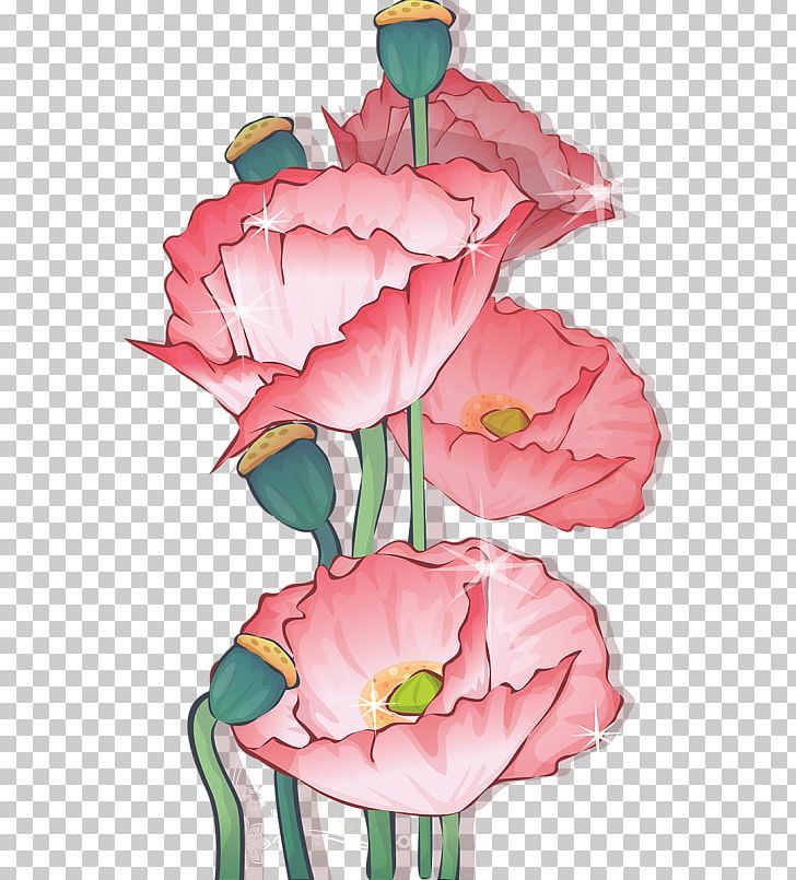 Common Poppy Opium Poppy PNG, Clipart, Common Poppy, Cut Flowers, Desktop Wallpaper, Download, Floral Design Free PNG Download