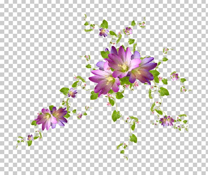 Flower Computer Stock Photography Desktop PNG, Clipart, Annual Plant, Blossom, Branch, Bun, Card Game Free PNG Download