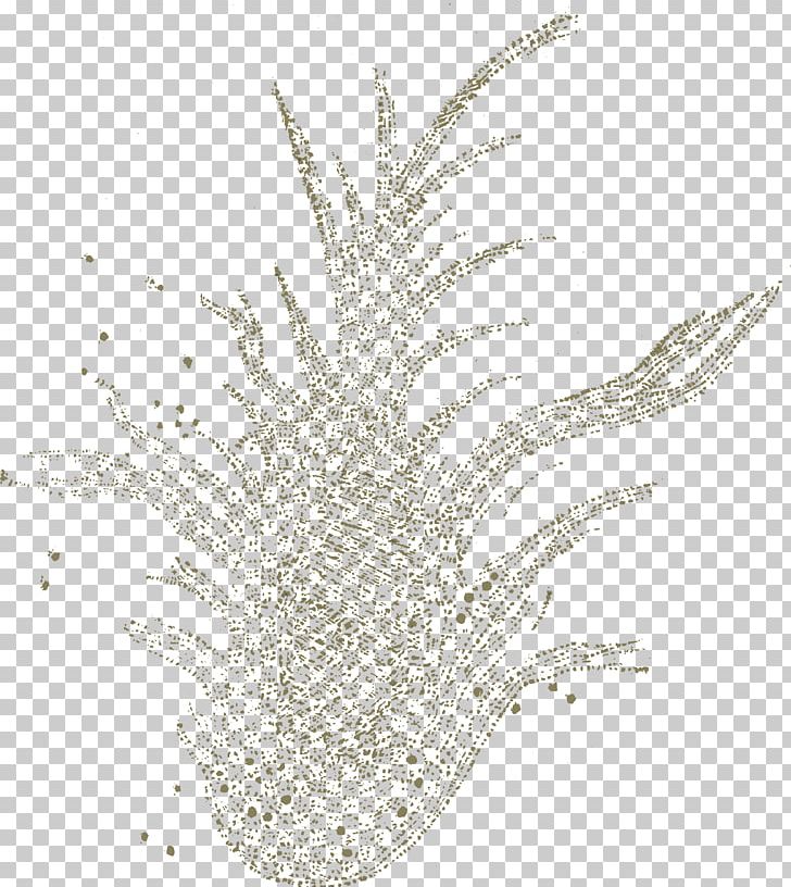 Grasses Organism Plant Close-up Animal PNG, Clipart, Animal, Animals, Brown, Closeup, Crab Free PNG Download