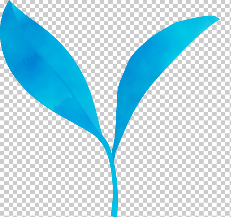 Feather PNG, Clipart, Aqua, Blue, Feather, Flower, Green Free PNG Download