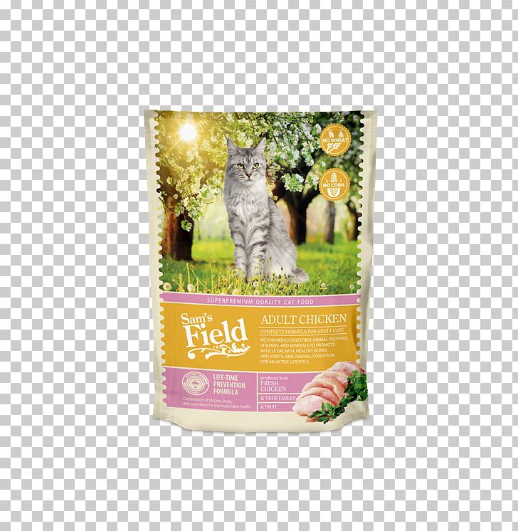 Cat Food Kitten Chicken Torrfoder PNG, Clipart, Animals, Cat, Cat Food, Cat Like Mammal, Chicken Free PNG Download