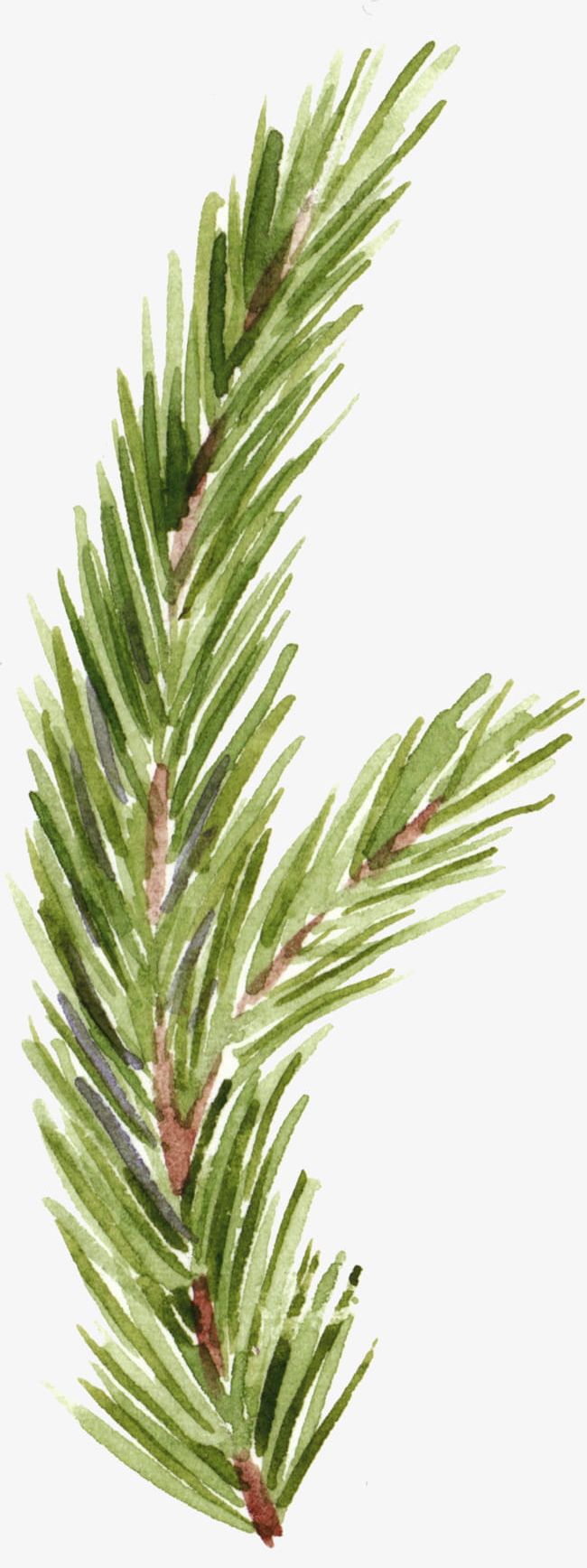 Pine Tree Hand-painted Cartoon Material Free To Pull PNG, Clipart, Branches, Cartoon, Cartoon Clipart, Free, Free Clipart Free PNG Download
