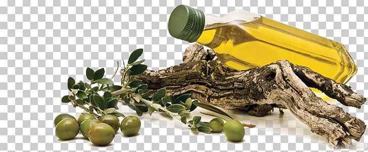 Spanish Cuisine Greek Cuisine Olive Oil PNG, Clipart, Ana, Bottle, Bruschetta, Eating, Fish Oil Free PNG Download