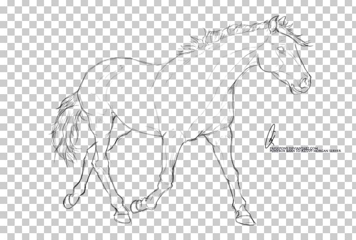 Arabian Horse Pony Foal Stallion Line Art PNG, Clipart, Animal Figure, Arabian Horse, Arm, Art, Artwork Free PNG Download