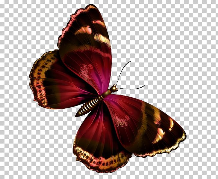 Butterfly Papilio Ulysses Greta Oto PNG, Clipart, Arthropod, Brush Footed Butterfly, Butterflies, Butterflies And Moths, Butterfly Group Free PNG Download