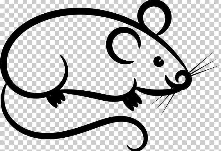 Computer Mouse Microsoft Mouse Arc Mouse PNG, Clipart, Arc, Arc Mouse, Artwork, Black And White, Carnivoran Free PNG Download