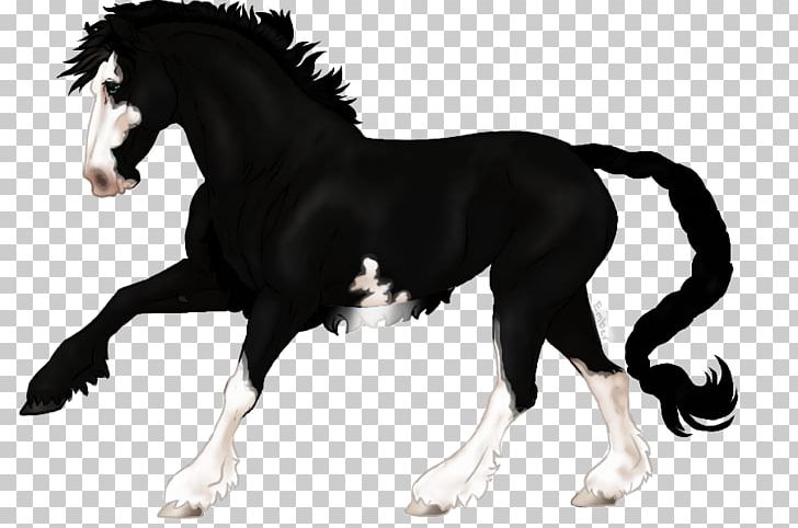 Mane Mustang Stallion Foal Mare PNG, Clipart, Bah, Black And White, Breed, Colt, Deep Black Free PNG Download