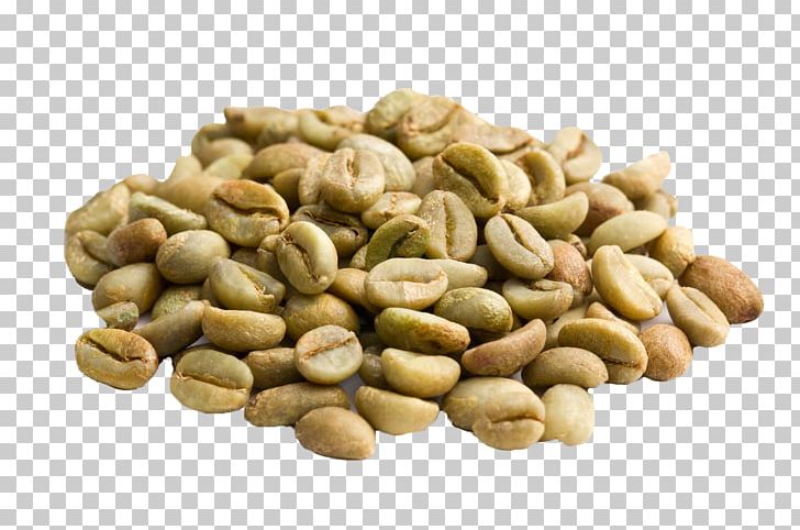 Coffee Bean Green Coffee Extract Decaffeination Coffee Roasting PNG, Clipart, Arabica Coffee, Bean, Coffea Liberica, Coffee, Coffee Bean Free PNG Download