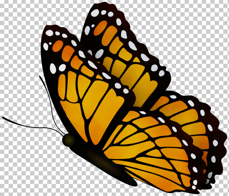 Monarch Butterfly PNG, Clipart, Brushfooted Butterflies, Butterflies, Geometry, Insects, Lepidoptera Free PNG Download
