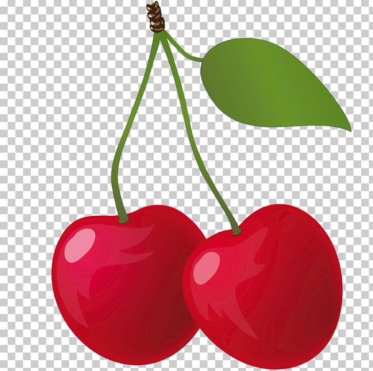 Kirsch Cherry Fruit Food PNG, Clipart, Cherry, Food, Fruit, Fruit Nut, Heart Free PNG Download