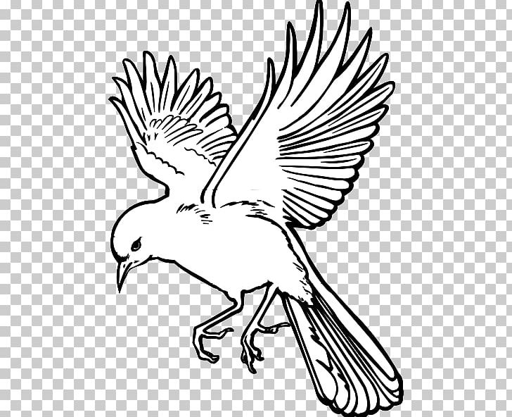 Birdwatching Flight Drawing PNG, Clipart, Animal, Artwork, Beak, Bird Flight, Bird Outline Drawing Free PNG Download
