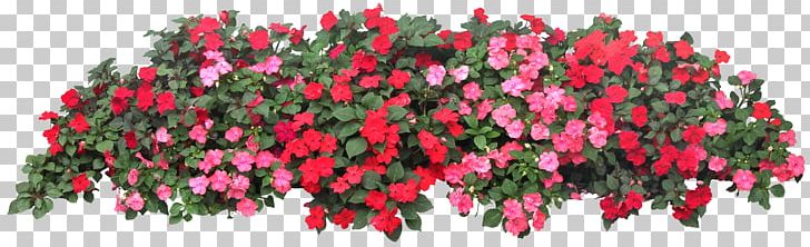Flower Garden Grow Light Raised-bed Gardening PNG, Clipart, Balcony, Cut Flowers, Flower, Flower Garden, Flowering Plant Free PNG Download