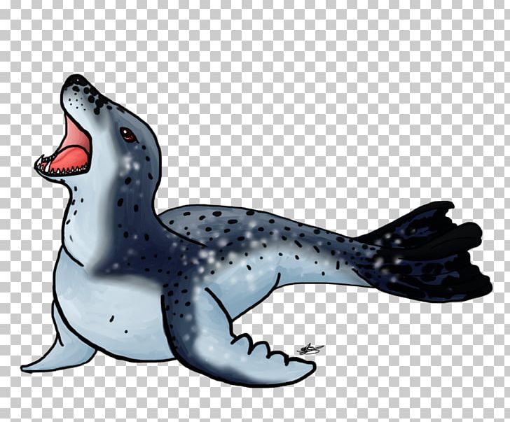 leopard seal drawing