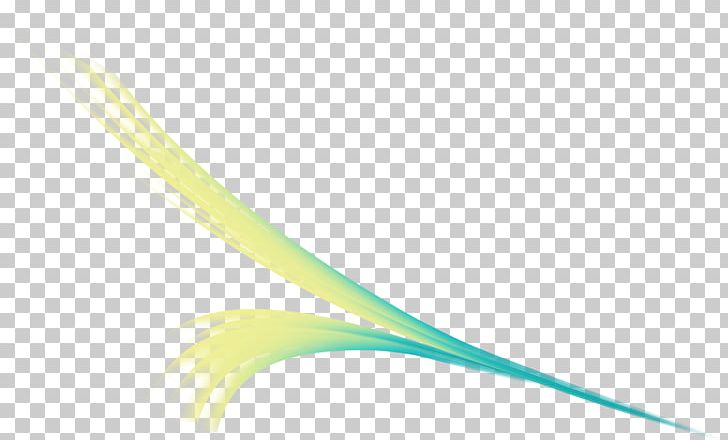 Plant Stem Close-up Feather Line PNG, Clipart, Animals, Chimichanga, Closeup, Feather, Food Drinks Free PNG Download