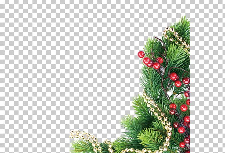 Christmas Gratis Festival PNG, Clipart, Branch, Christmas Border, Christmas Decoration, Christmas Frame, Christmas Lights Free PNG Download