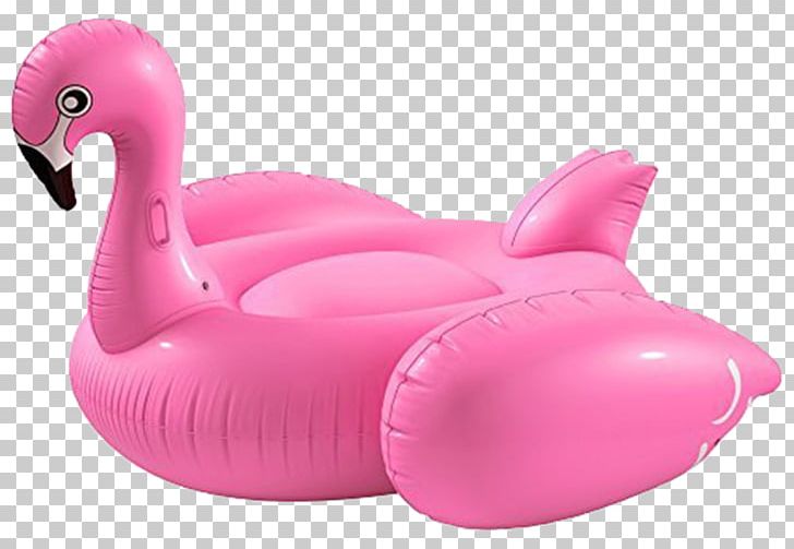 inflatable swimming pool floats