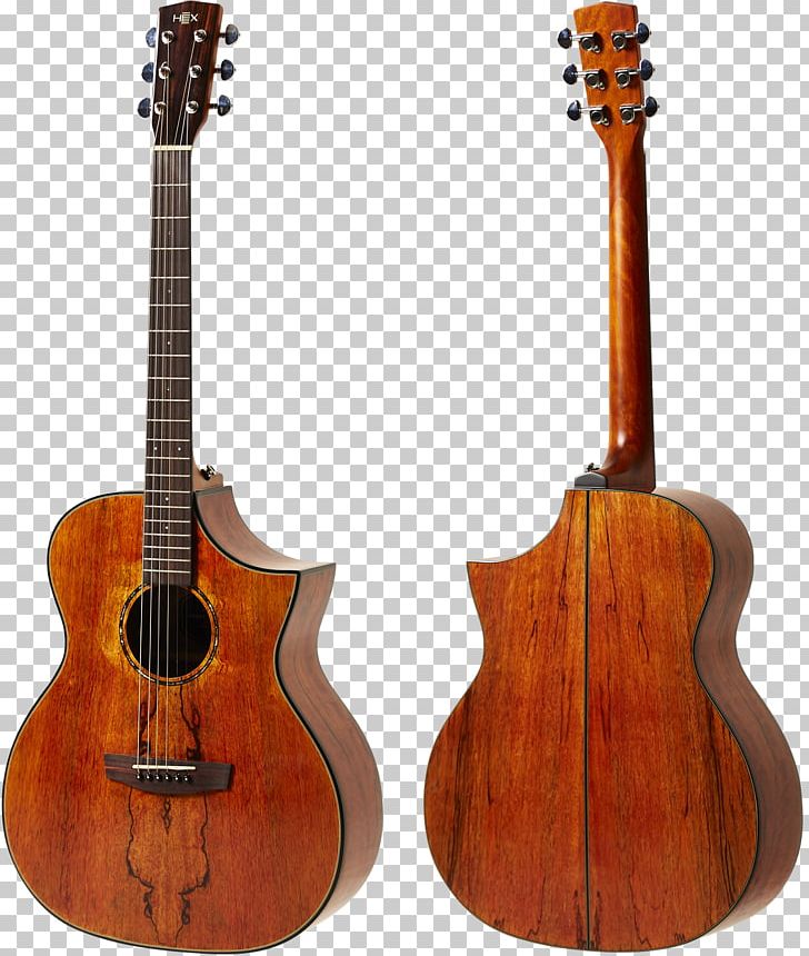 Takamine Guitars Acoustic-electric Guitar Acoustic Guitar Musical Instruments PNG, Clipart, Acoustic Electric Guitar, Cuatro, Cutaway, Guitar Accessory, Semiacoustic Guitar Free PNG Download