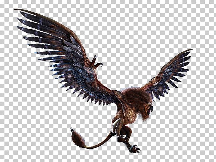 The Witcher 3: Wild Hunt Geralt Of Rivia Griffin Basilisk PNG, Clipart, Accipitriformes, Beak, Bestiary, Bird, Bird Of Prey Free PNG Download
