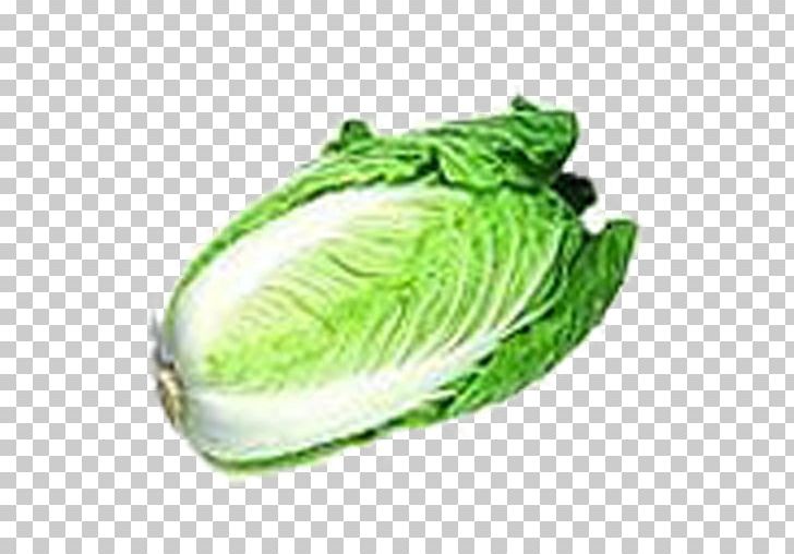 Chinese Cabbage Napa Cabbage Vegetable Melon PNG, Clipart, Brassica Oleracea, Broccoli, Brussels Sprout, Cabbage, Cabbage Roll Free PNG Download