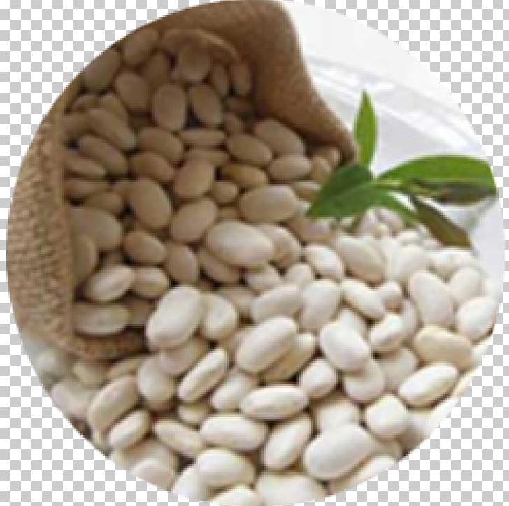 Kidney Bean Navy Bean Dal Carbohydrate PNG, Clipart, Bean, Black Beans, Carbohydrate, Chickpea, Commodity Free PNG Download