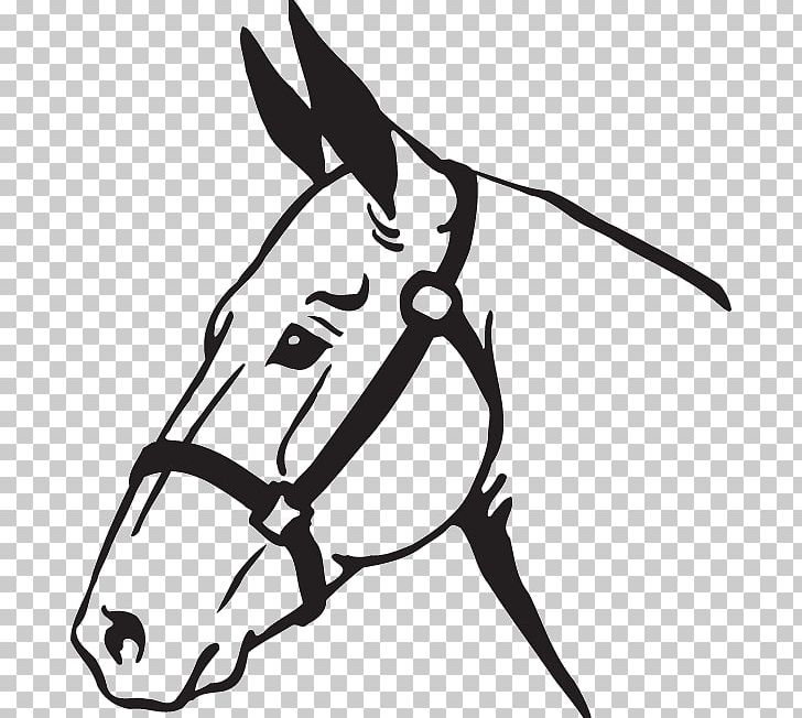 Mule Donkey Graphics PNG, Clipart, Black, Black And White, Bridle, Decal, Donkey Free PNG Download