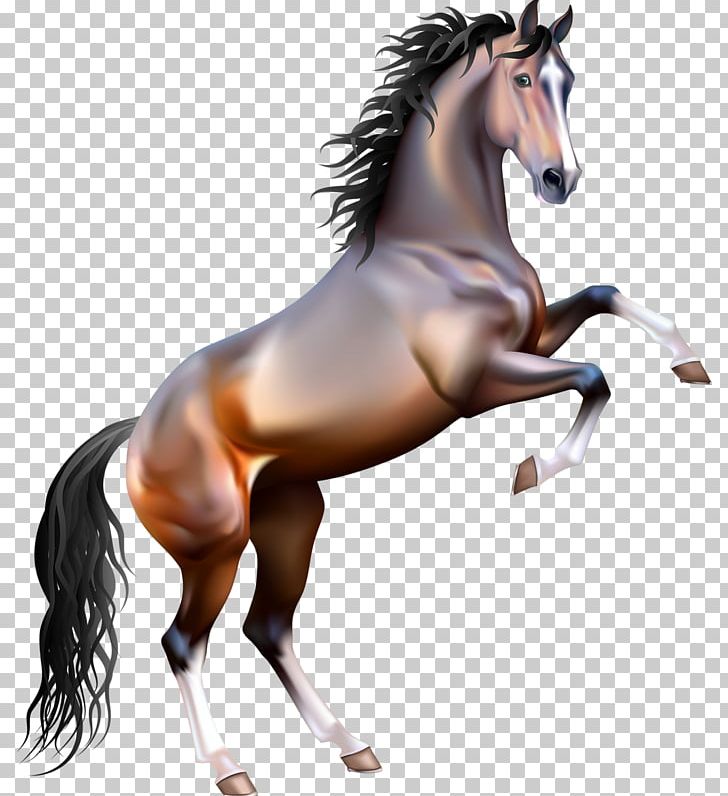 Mustang Rearing Arabian Horse PNG, Clipart, Bay, Black, Bridle, Collection, Colt Free PNG Download
