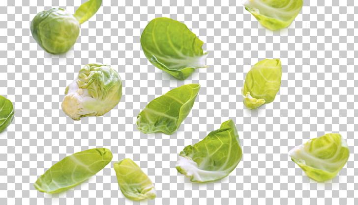 Red Cabbage Vegetable PNG, Clipart, Brassica Oleracea, Cabbage, Cruciferous Vegetables, Designer, Food Free PNG Download