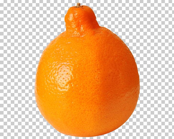 Clementine Tangelo Mandarin Orange Tangerine Blood Orange PNG, Clipart, Auglis, Bitter Orange, Blood Orange, Citric Acid, Citrus Free PNG Download
