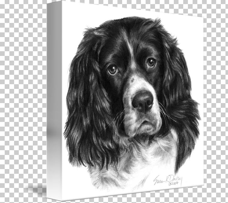 Field Spaniel English Springer Spaniel Boykin Spaniel Sussex Spaniel English Cocker Spaniel PNG, Clipart, Black And White, Breed Group Dog, Carnivoran, Companion Dog, Dog Breed Free PNG Download