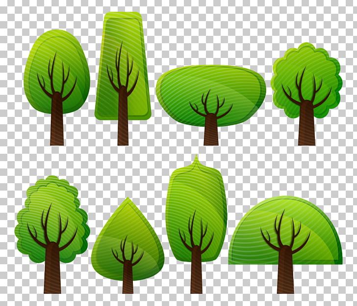 Tree Shrub PNG, Clipart, Broadleaved Tree, Cartoon Picture Of Trees, Download, Forest, Free Content Free PNG Download