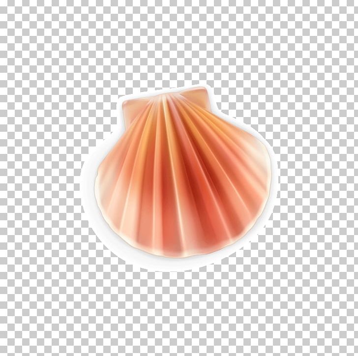 Euclidean Seashell Pearl PNG, Clipart, Adobe Illustrator, Conch, Cute, Cute Animal, Cute Animals Free PNG Download