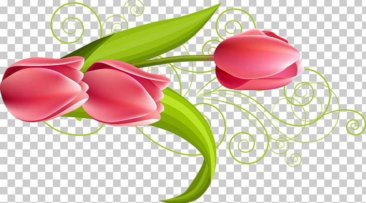 Flower Euclidean PNG, Clipart, Adobe Flash, Beautiful, Beautiful Vector, Computer Graphics, Download Free PNG Download