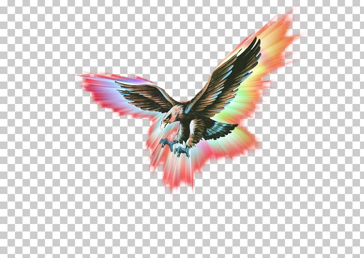 Light Cool Flame PNG, Clipart, 3d Computer Graphics, Animal, Bird, Brush Effect, Burst Effect Free PNG Download